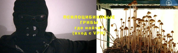 соль ск Алзамай