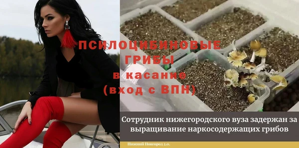 соль ск Алзамай