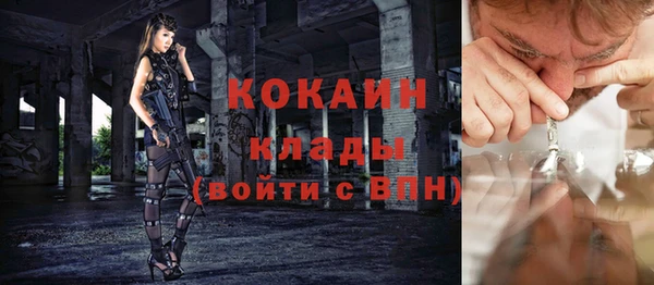 соль ск Алзамай