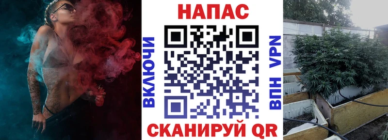 Бошки Шишки OG Kush  купить наркотики цена  Севастополь 